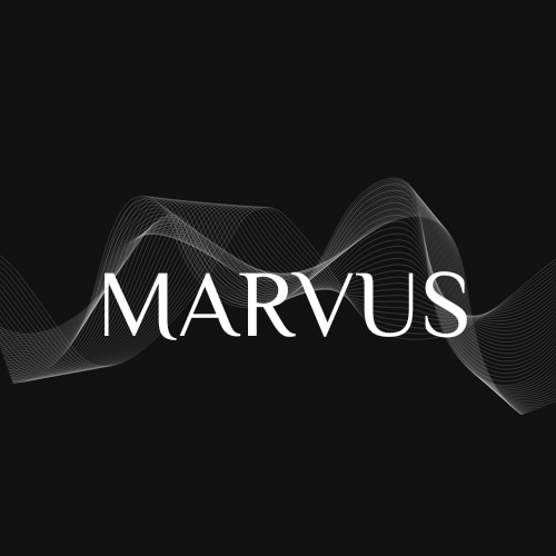 logo marvus